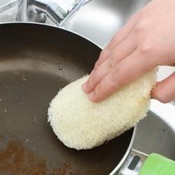 Kitchen Loofah Dishwasher Brush